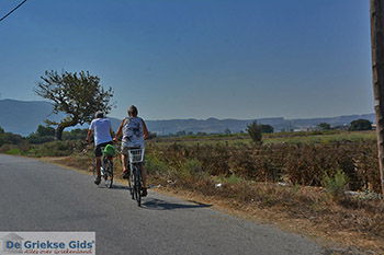 Marmari Kos - Eiland Kos foto 34 - Foto van https://www.grieksegids.nl/fotos/kos/marmari/normaal/marmari-kos-034.jpg