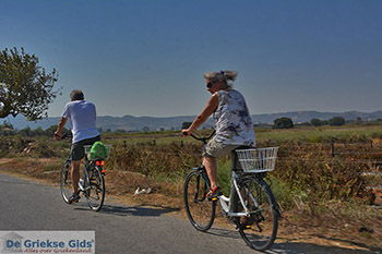 Marmari Kos - Eiland Kos foto 35 - Foto van https://www.grieksegids.nl/fotos/kos/marmari/normaal/marmari-kos-035.jpg