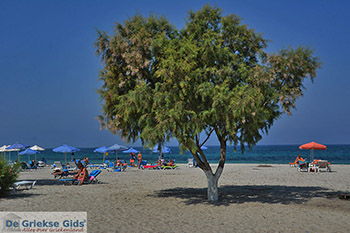 Mastichari Kos - Eiland Kos foto 22 - Foto van https://www.grieksegids.nl/fotos/kos/mastichari/normaal/mastichari-kos-022.jpg