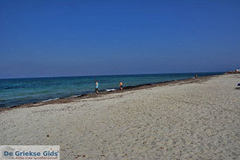 Mastichari Kos - Eiland Kos foto 26 - Foto van https://www.grieksegids.nl/fotos/kos/mastichari/normaal/mastichari-kos-026.jpg