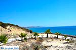GriechenlandWeb.de Paradise beach - Insel Kos -  Foto 6 - Foto GriechenlandWeb.de