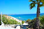 GriechenlandWeb.de Paradise beach - Insel Kos -  Foto 20 - Foto GriechenlandWeb.de