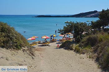 Paradise beach - Eiland Kos -  Foto 21 - Foto van https://www.grieksegids.nl/fotos/kos/paradise-beach/normaal/paradise-beach-kos-021.jpg