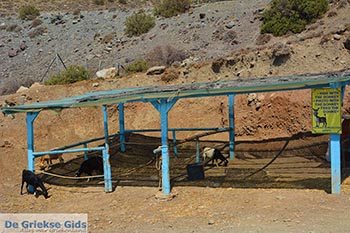 Thermen - Eiland Kos -  Foto 8 - Foto van https://www.grieksegids.nl/fotos/kos/thermen/normaal/thermen-kos-008.jpg