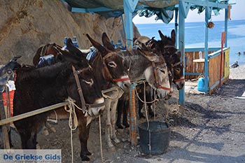 Thermen - Eiland Kos -  Foto 20 - Foto van https://www.grieksegids.nl/fotos/kos/thermen/normaal/thermen-kos-020.jpg