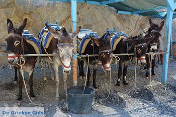 Thermen - Eiland Kos -  Foto 22 - Foto van https://www.grieksegids.nl/fotos/kos/thermen/normaal/thermen-kos-022.jpg