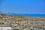 GriechenlandWeb.de Tigaki Kos - Insel Kos foto 7 - Foto GriechenlandWeb.de