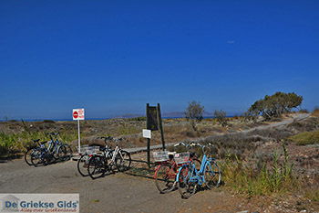 Tigaki Kos - Eiland Kos foto 1 - Foto van https://www.grieksegids.nl/fotos/kos/tigaki/normaal/tigaki-kos-001.jpg