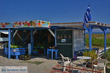 Tigaki Kos - Eiland Kos foto 25 - Foto van https://www.grieksegids.nl/fotos/kos/tigaki/normaal/tigaki-kos-025.jpg