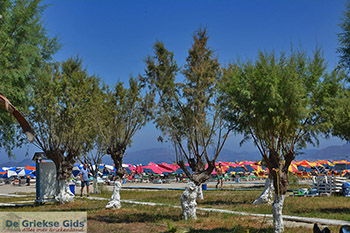 Tigaki Kos - Eiland Kos foto 31 - Foto van https://www.grieksegids.nl/fotos/kos/tigaki/normaal/tigaki-kos-031.jpg