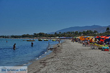 Tigaki Kos - Eiland Kos foto 37 - Foto van https://www.grieksegids.nl/fotos/kos/tigaki/normaal/tigaki-kos-037.jpg