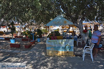 Tigaki Kos - Eiland Kos foto 59 - Foto van https://www.grieksegids.nl/fotos/kos/tigaki/normaal/tigaki-kos-059.jpg