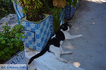 Bergdorp Zia - Eiland Kos -  Foto 29 - Foto van https://www.grieksegids.nl/fotos/kos/zia/normaal/zia-kos-029.jpg