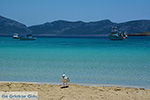 Koufonisi - Eilanden Koufonissia | Cycladen | De Griekse Gids | nr 79 - Foto van De Griekse Gids