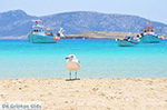 Koufonisi - Eilanden Koufonissia | Cycladen | De Griekse Gids | nr 101 - Foto van De Griekse Gids
