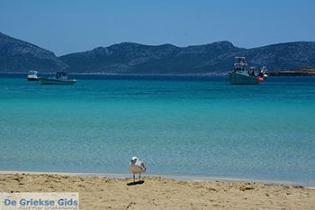 Koufonisi - Eilanden Koufonissia | Cycladen | De Griekse Gids | nr 79 - Foto van https://www.grieksegids.nl/fotos/koufonissia/normaal/eilanden-koufonissia-079.jpg