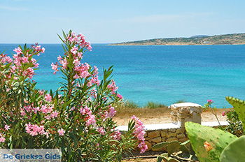 Koufonisi - Eilanden Koufonissia | Cycladen | De Griekse Gids | nr 136 - Foto van https://www.grieksegids.nl/fotos/koufonissia/normaal/eilanden-koufonissia-136.jpg