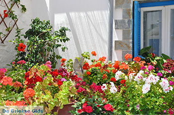 Koufonisi - Eilanden Koufonissia | Cycladen | De Griekse Gids | nr 208 - Foto van https://www.grieksegids.nl/fotos/koufonissia/normaal/eilanden-koufonissia-208.jpg