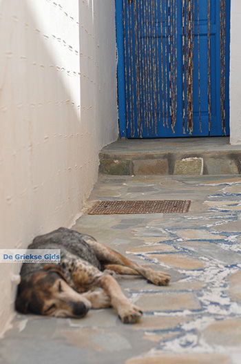 Koufonisi - Eilanden Koufonissia | Cycladen | De Griekse Gids | nr 214 - Foto van https://www.grieksegids.nl/fotos/koufonissia/normaal/eilanden-koufonissia-214.jpg