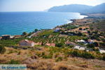 GriechenlandWeb Mochlos Lassithi Kreta - Foto GriechenlandWeb.de