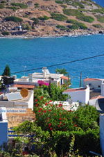 GriechenlandWeb Mochlos Lassithi Kreta - Foto GriechenlandWeb.de