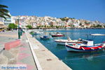GriechenlandWeb Sitia Lassithi Kreta - Foto GriechenlandWeb.de