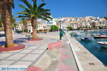 GriechenlandWeb Sitia Lassithi Kreta - Foto GriechenlandWeb.de