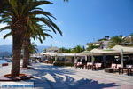 GriechenlandWeb Sitia Lassithi Kreta - Foto GriechenlandWeb.de