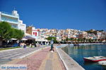 GriechenlandWeb Sitia Lassithi Kreta - Foto GriechenlandWeb.de