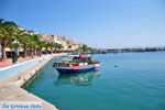 GriechenlandWeb Sitia Lassithi Kreta - Foto GriechenlandWeb.de