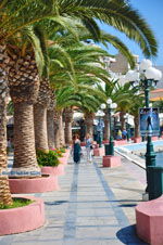 GriechenlandWeb Sitia Lassithi Kreta - Foto GriechenlandWeb.de