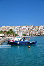 GriechenlandWeb Sitia Lassithi Kreta - Foto GriechenlandWeb.de