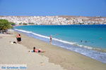 GriechenlandWeb Sitia Lassithi Kreta - Foto GriechenlandWeb.de
