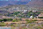 GriechenlandWeb Xerokambos Lassithi Kreta - Foto GriechenlandWeb.de