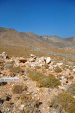 GriechenlandWeb Xerokambos Lassithi Kreta - Foto GriechenlandWeb.de