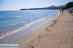 GriechenlandWeb Makrigialos Lassithi Kreta - Foto GriechenlandWeb.de