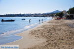 GriechenlandWeb Makrigialos Lassithi Kreta - Foto GriechenlandWeb.de