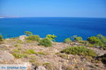 GriechenlandWeb.de Agia Fotia | Lassithi Kreta | Foto 1 - Foto GriechenlandWeb.de