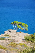 Agia Fotia | Lassithi Kreta | Foto 2 - Foto van De Griekse Gids