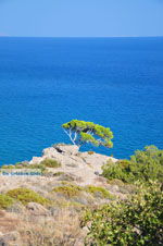 GriechenlandWeb.de Agia Fotia | Lassithi Kreta | Foto 3 - Foto GriechenlandWeb.de