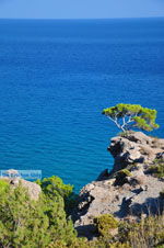 Agia Fotia | Lassithi Kreta | Foto 8 - Foto van De Griekse Gids