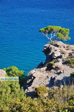 Agia Fotia | Lassithi Kreta | Foto 9 - Foto van De Griekse Gids