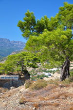GriechenlandWeb.de Agia Fotia | Lassithi Kreta | Foto 20 - Foto GriechenlandWeb.de