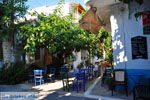 GriechenlandWeb Mirtos Lassithi Kreta - Foto GriechenlandWeb.de