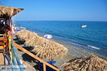 GriechenlandWeb Mirtos Lassithi Kreta - Foto GriechenlandWeb.de