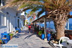 GriechenlandWeb Mirtos Lassithi Kreta - Foto GriechenlandWeb.de
