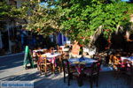GriechenlandWeb Mirtos Lassithi Kreta - Foto GriechenlandWeb.de
