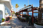 GriechenlandWeb Mirtos Lassithi Kreta - Foto GriechenlandWeb.de