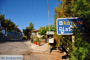 Platanos bij Tholos | Lassithi Kreta | foto 3 - Foto van https://www.grieksegids.nl/fotos/kreta-lassithi/normaal/kreta-grieksegids-031.jpg