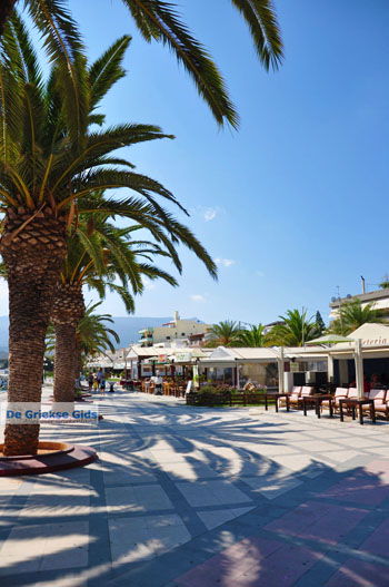 Sitia | Lassithi Kreta | Griekse Gids foto 13 - Foto van https://www.grieksegids.nl/fotos/kreta-lassithi/normaal/kreta-grieksegids-087.jpg